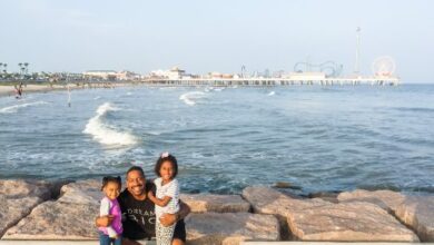 things to do in galveston with kids seawall 512x384 1