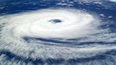 975356 cyclone yaas 1