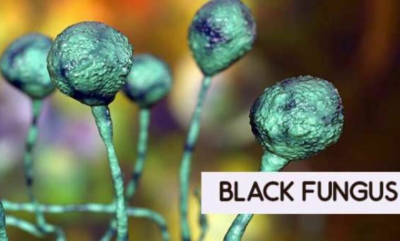 black fungus1 1620809809 1620971336 1