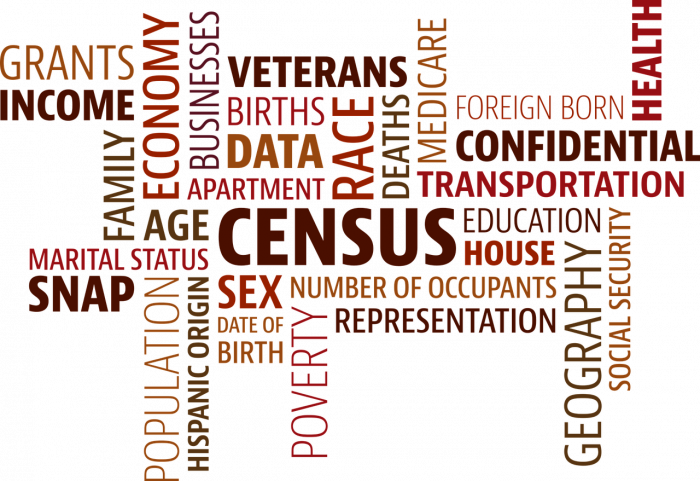 caste census 