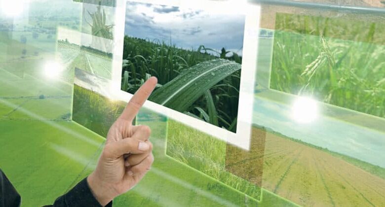 how agritech initiatives brought digital transformation 800x420 1