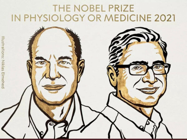 julius and patapoutian win 2021 nobel prize in medicine 1