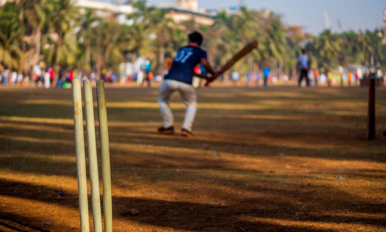 cricket india 4