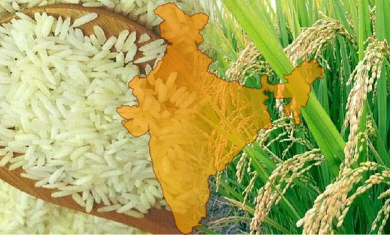 चावल निर्यात