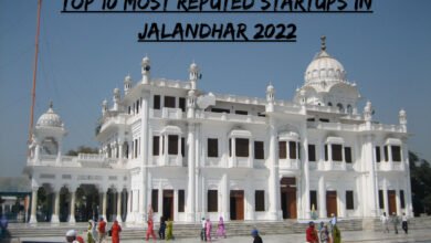 top 10 most reputed startups in jalandhar 2022