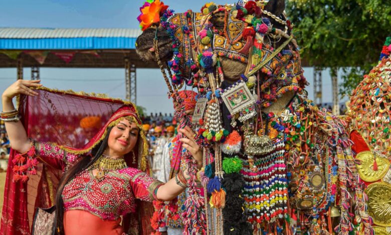 pushkar camel fair 2019