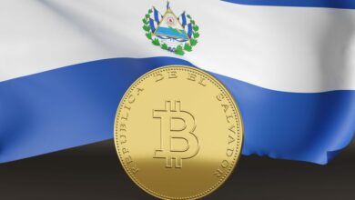 coin with bitcoin symbol text el salvador republic spanish 1024x683 1