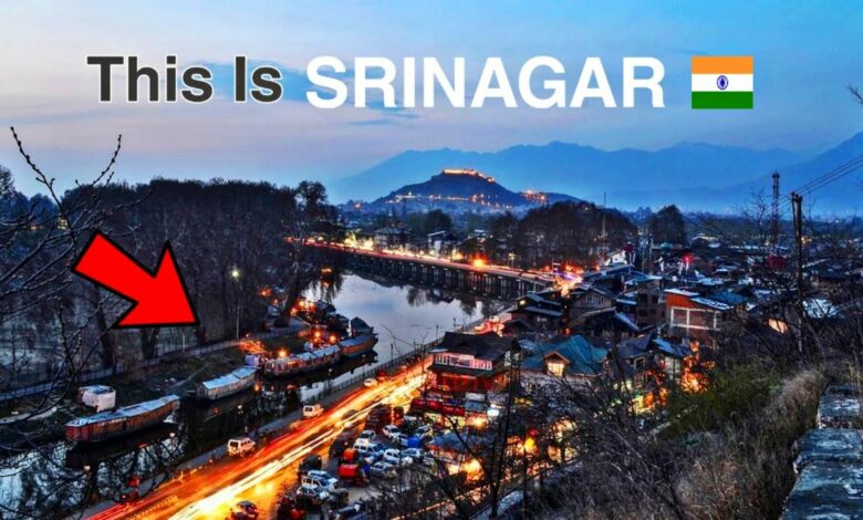 promising and reputed startups in srinagar 2022