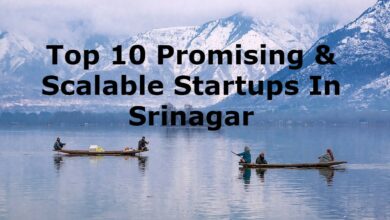 top 10 promising & scalable startups in srinagar