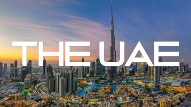 top 10 most valuable unicorns in united arab emirates 2022