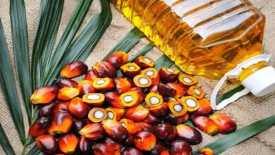 how indonesia's palm oil export ban could bring a perfect storm in india in 2022