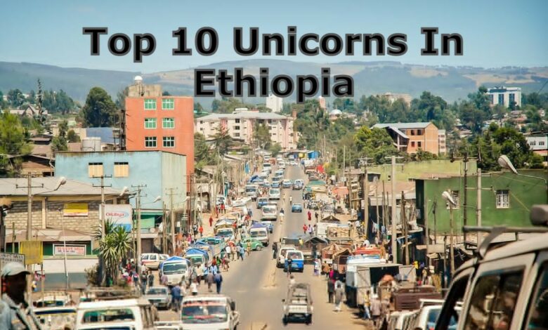 Top 10 Unicorns In Ethiopia