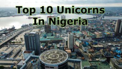 Top 10 Unicorns In Nigeria