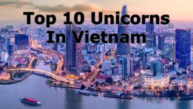 top 10 unicorns in vietnam