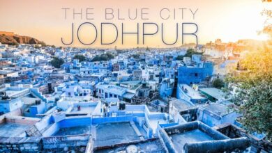 top 10 most innovative startups in jodhpur 2022.