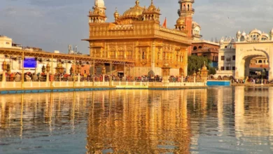 top 10 best and most reputed startups in amritsar 2022.