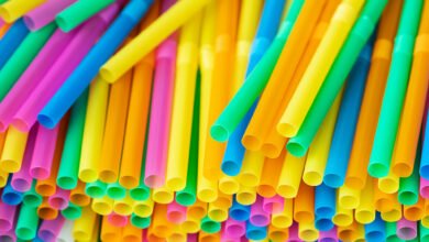 ban on plastic straw