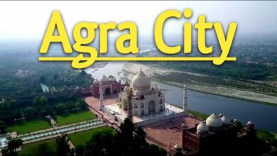 top 10 most innovative startups in agra 2022.