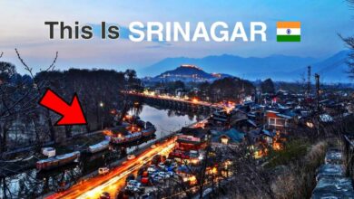 top 10 most innovative startups in srinagar 2022.