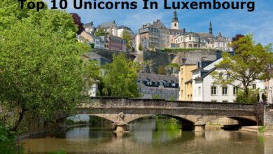 top 10 unicorns in luxembourg