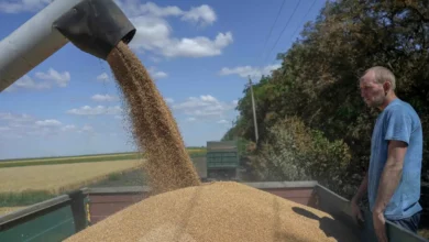 ukraine and russia sign deal to unlock grain exports 2022