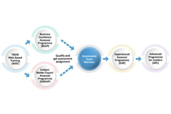 tata business excellence model