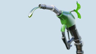 fueling the future how biofuels can help india achieve greater energy security