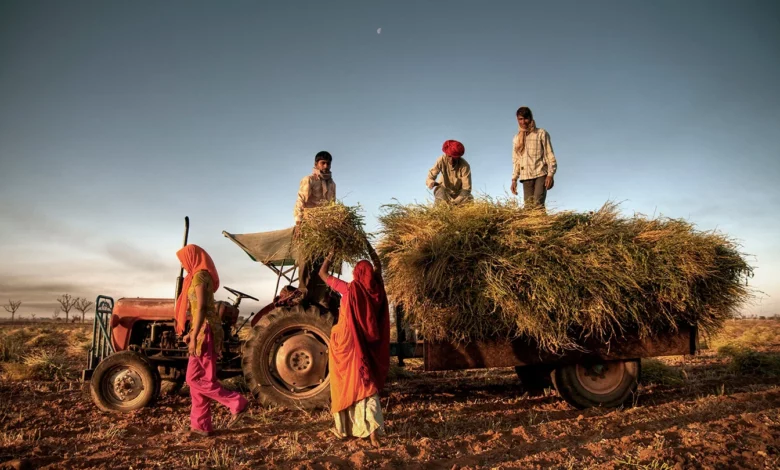 india rural economy 16 9