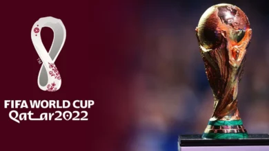 what are the categories for the sunday-starting fifa world cup 2022?