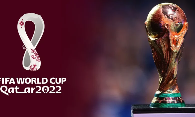 what are the categories for the sunday-starting fifa world cup 2022?
