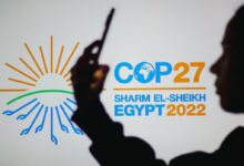 cop27: a year of losses and damages 