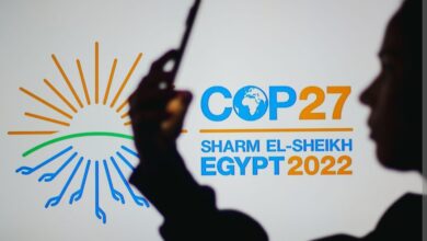 cop27: a year of losses and damages 