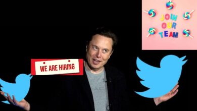 elon musk plans to hire