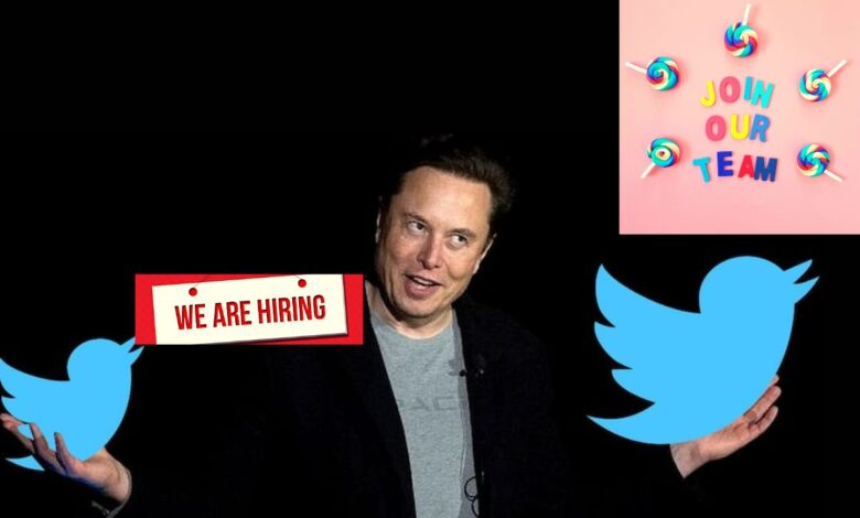 elon musk plans to hire