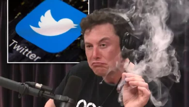 feat elon musk 420 reference in twitter takeover