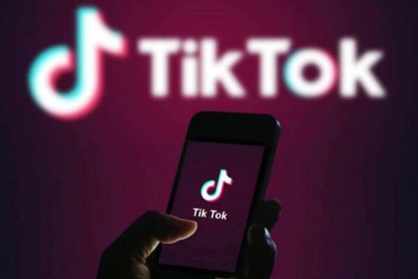 the us states that have outlawed tiktok entirely or in part for official use due to growing security concerns.