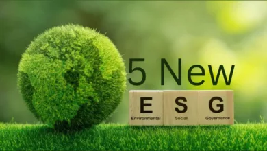 5 new categories under esg schemes by sebi.