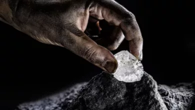 discoveries of lithium deposits in india: what it means for the country and the world