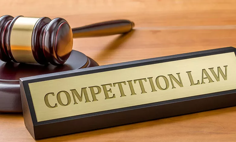 government sets up panel on digital competition law