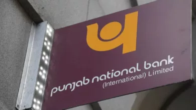 why pnb denies hindenburg allegations for adani group