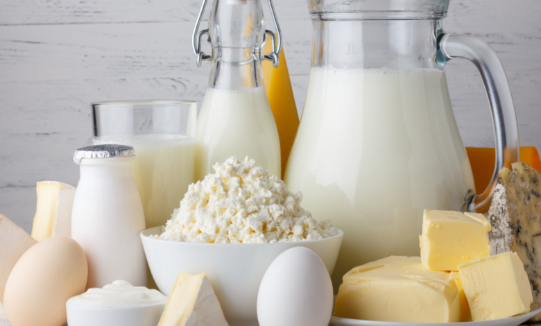 dairy products manufacturing companies in india