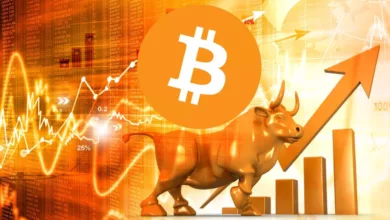 report bull market crypto