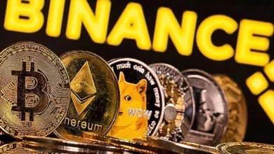 binance technical glitches: the brief story of the halt and pause of the cryptocurrency giant.