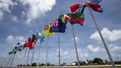 national flag for the pacific islands forum