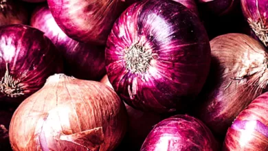 onion prices: the new headache to the farmers of the nation!