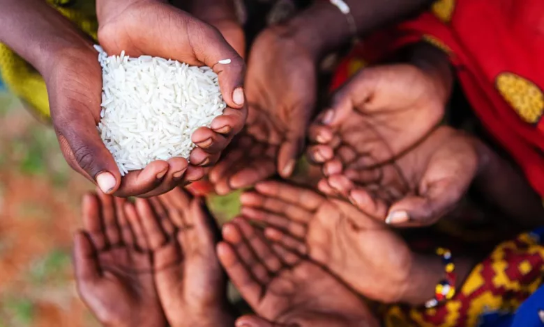 a rice shortage is set to hit the world in 20 years