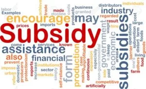 9914713 background concept wordcloud illustration of subsidy stock illustration 690x419 300x182 1 jpg