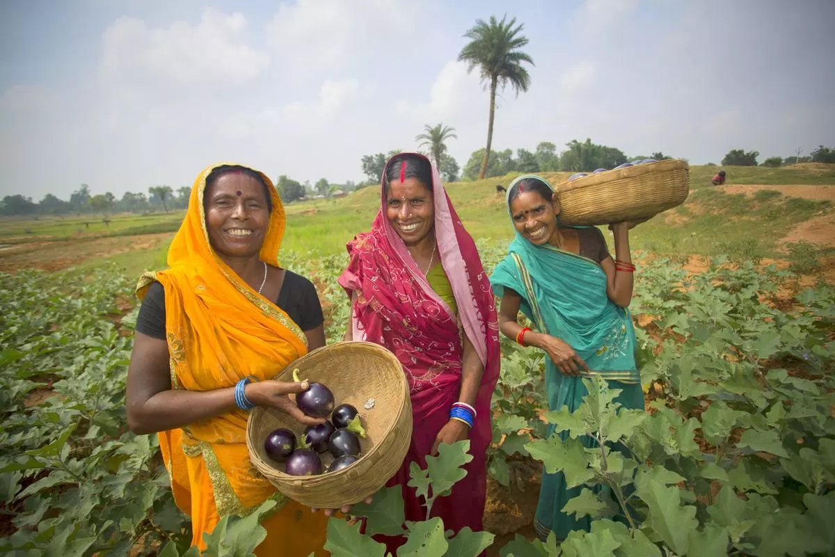 India's Weather Blues: The Need For Organic Farming