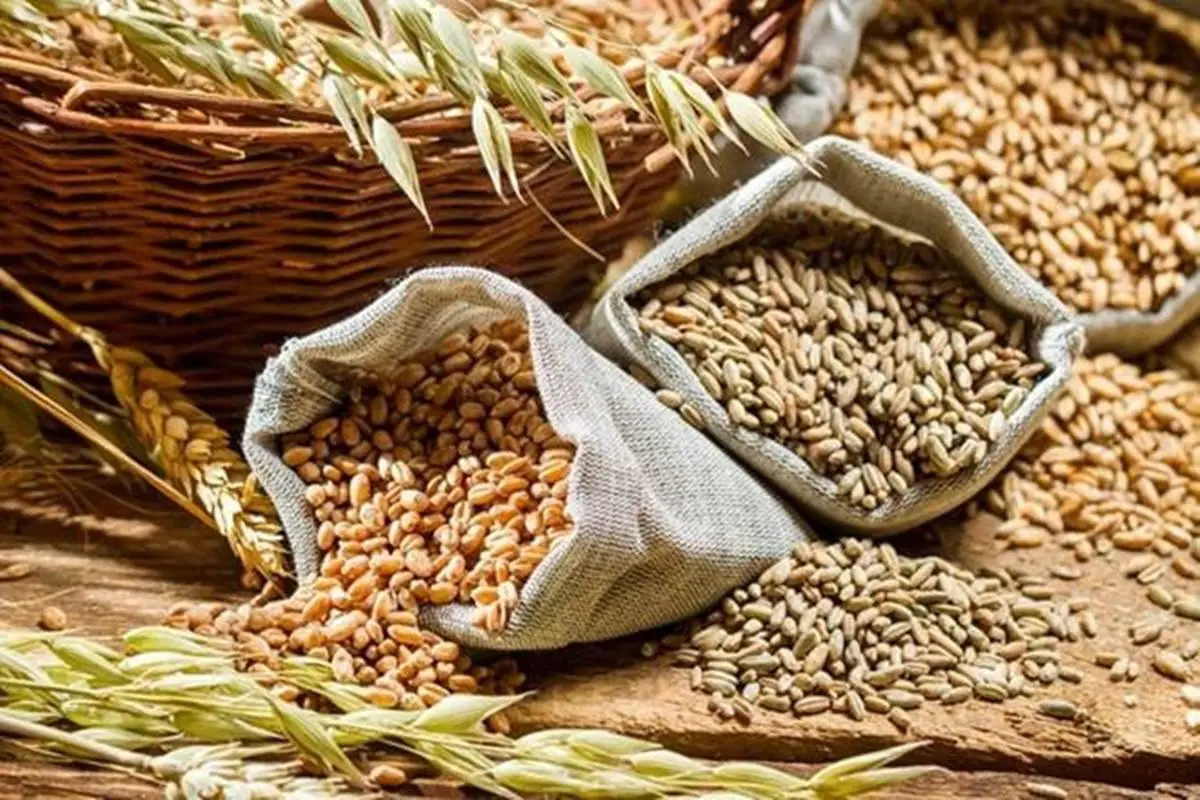 Several EU Countries Ban Ukrainian Grain Imports, Including Poland And Hungary