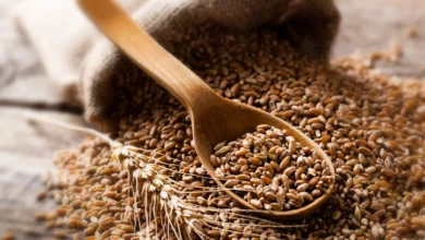 several eu countries ban ukrainian grain imports, including poland and hungary